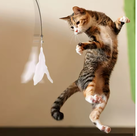 Varita Interactiva con Plumas y Ventosa para Gatos