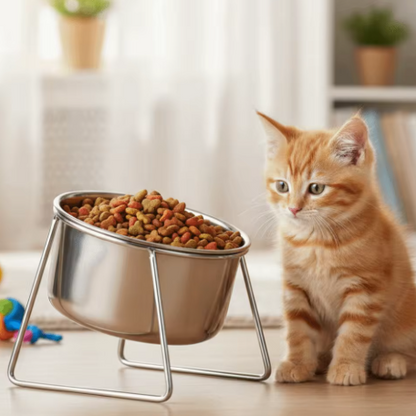 Comedero para gato