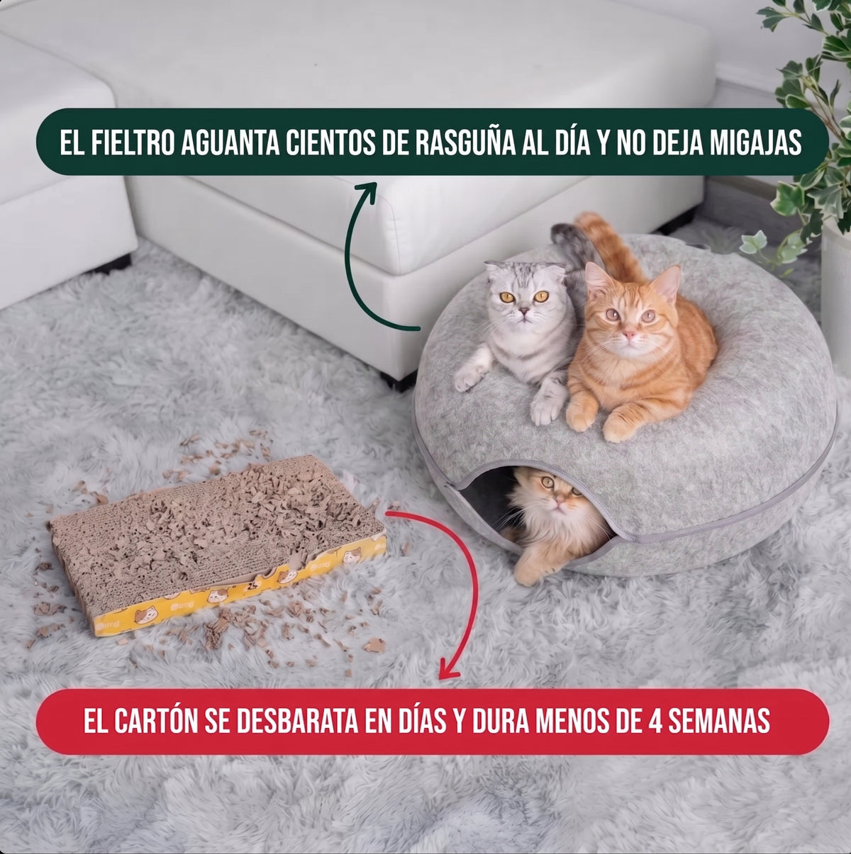 NubiCat™ Juega, explora y descansa